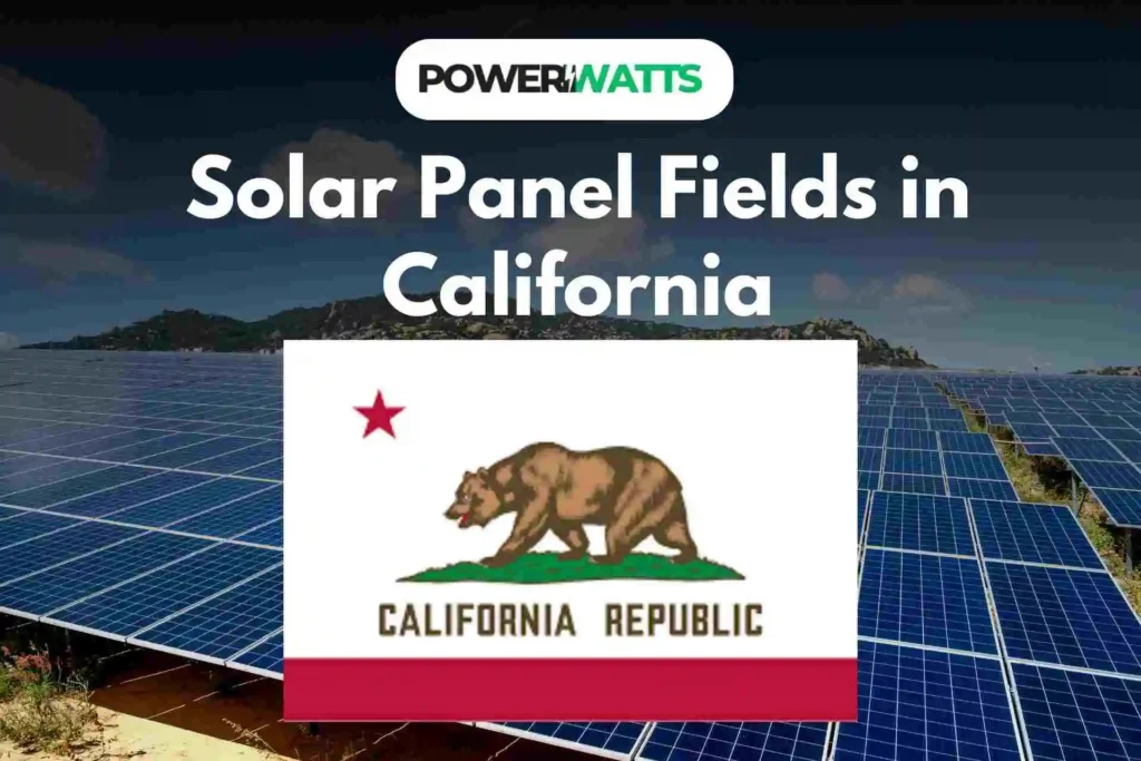 Solar Panel Fields in California