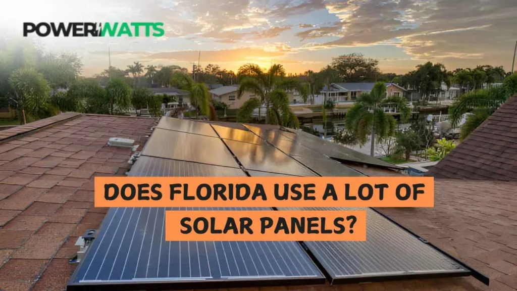 Does Florida Use a Lot of Solar Panels